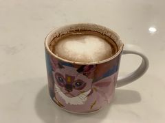 -飞行喵MR PILOT|猫舍·猫咖(静安大融城店)
