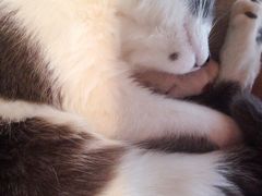 iphone_upload_pic-MIKAKU(万达广场上海宝山店)