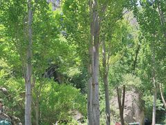 -幽岚山·童话森林