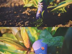 -前小桔亲子创意农场·草莓采摘·露营烧烤