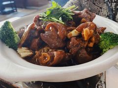 红焖东山羊-墨脱石锅椰子鸡•香草鸭•东山羊(大东海店)