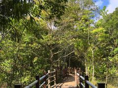 -海南热带雨林国家公园吊罗山景区