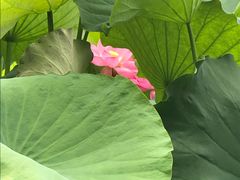 -韶山毛泽东同志故居