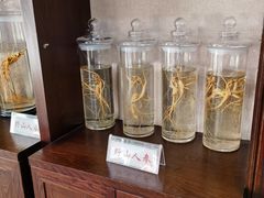 -大通中医馆