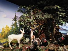 -陕西自然博物馆