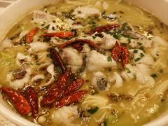 招牌酸菜鱼（必点）-爱啤精酿·民谣酒馆(滨江店)