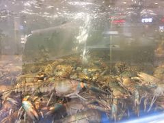 -盒马鲜生(莱蒙都会店)