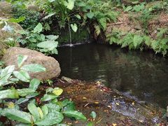 -燕晗山郊野公园