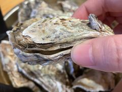 清焖珍珠蚝-吓土伯生蚝(工厂店)