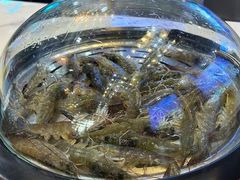 -神州半岛喜来登度假酒店·盛宴汉堡·战斧牛排·后安粉
