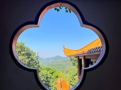 -深圳仙湖植物园