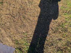 -汉长安城未央宫国家考古遗址公园