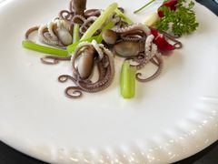 -星龙海鲜(望江东路店)