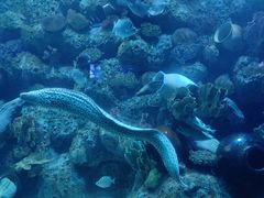-左海海底世界