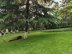 -龙头寺公园