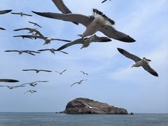 -海驴岛(荣成市)
