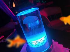 -MOSSO音乐酒吧·Live House(南京西路店)