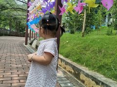 -泉州海丝野生动物世界