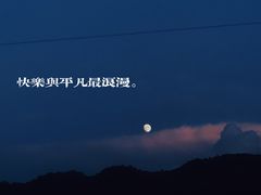 -武陵山森林公园