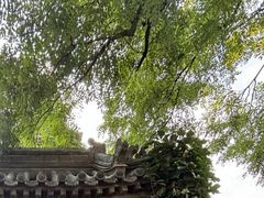 -纪念孙中山市政公园