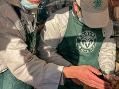 -洪记白水羊头(天坛店)