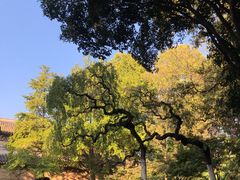 -灵谷景区