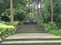 -铁山坪森林公园