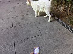 -美罗百货(观前店)