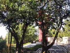 -广州雕塑公园
