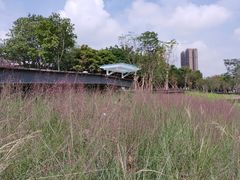 -怡海公园(桂城街道)