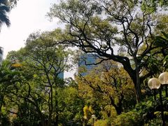 -九龙公园