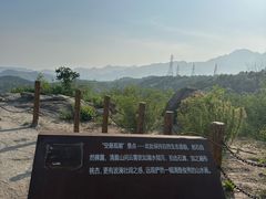 -白水寺森林公园