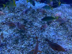 -海合安武汉极地海洋公园