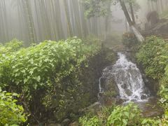 -莫干山风景区