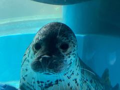 -青岛海底世界-水族馆