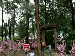 -玫瑰海岸文化旅游度假区
