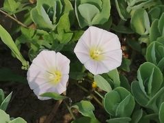 -衡山汇·高级粤菜(霄云路店)