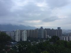 -金鸡山公园