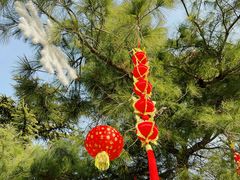 -北京石景山游乐园