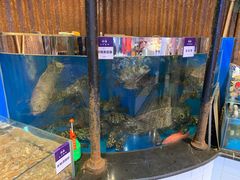 水产区-开海·红岛海鲜虾水饺(石老人店)