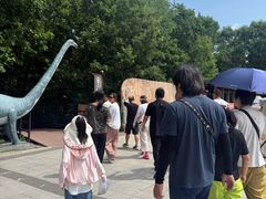 -茅兰沟国家森林公园