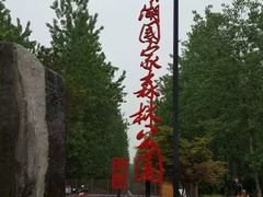 -合肥滨湖国家森林公园