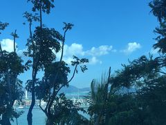 -希尔顿南海酒店·观廊大堂吧·海景下午茶