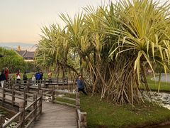 -中国科学院西双版纳热带植物园