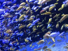 -成都浩海立方海洋公园