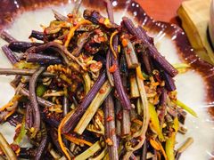 凉拌蕨菜-老朴朝鲜风味(顾乡店)