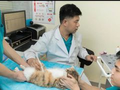 -美迦爱-牙专科·兔科·骨科诊疗中心(北苑店)