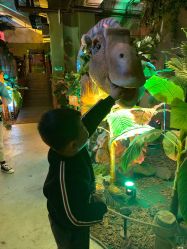 -恐龙探索乐园(磁器口店)