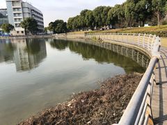 -美兰湖景区