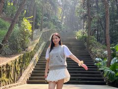 -铁山坪森林公园